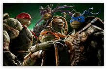 a group of teenage mutant ninja turtles are posing for a picture .