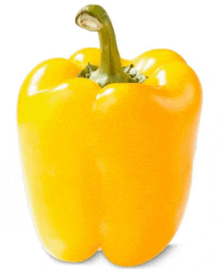 a yellow pepper with a green stem is sitting on a white background