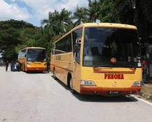 a yellow bus with the word pesona on the front of it