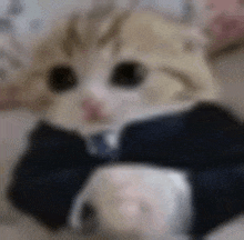 a cat wearing a suit and tie is holding a cup .