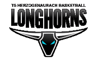 a logo for the ts herzogenaurach basketball team