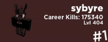 sybyre # 1 has 175340 career kills and 404 lvi