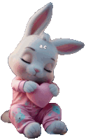 a stuffed bunny holding a pink heart with the letters a.c. above it