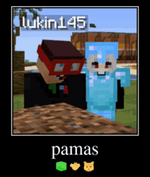 a picture of two minecraft characters with the name pamas