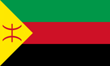 a green red and black flag with a yellow triangle on the right side