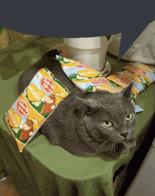 a cat is laying on a table with a bag of молоко on it