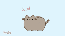 a drawing of a cat with the words until you text me below it