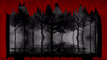 a black and white photo of a forest with a red curtain behind it