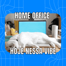 a picture of a cat laying on a desk with the words home office hoje nessa vibe