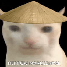 a cat wearing a conical hat with the words herrow marksenpai written below it