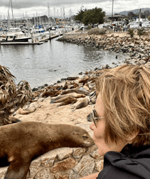 a woman looking at seals on a rocky shoreline