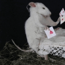 a white rat is holding a card with a heart on it