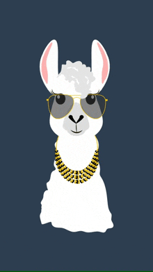 a llama wearing sunglasses and a necklace on a dark blue background