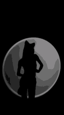 a silhouette of a person standing in front of a mirror in the dark .