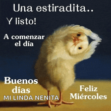 a picture of a chicken with the words una estradita y listo