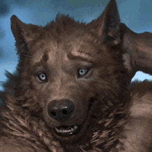 a close up of a person 's face with a wolf 's face on it