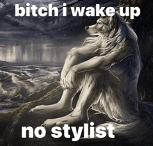 a wolf sitting on a rock with the words bitch i wake up no stylist below it