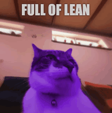 a purple cat with the words full of lean written on it