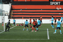 a group of soccer players are playing on a field with the word sport in the background