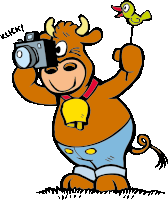 a cartoon cow is taking a picture with a camera and holding a toy bird