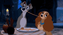 a lady and the tramp dog eating spaghetti with a string