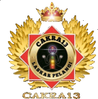 a gold and red emblem that says cakra13