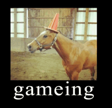 a picture of a horse wearing a cone on its head with the word gaming underneath it