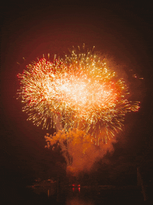 a fireworks display is going off in the dark