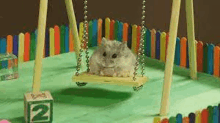 a hamster is sitting on a swing in a playground with a number 2 block in the background .