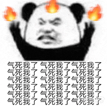 a panda bear with flames coming out of it 's eyes