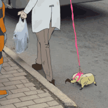 a cartoon drawing of a person walking a small animal on a leash