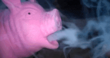 a pink pig blowing smoke out of its mouth .