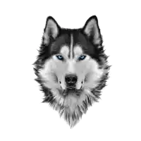 a black and white drawing of a husky 's face with blue eyes