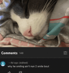 a close up of a cat laying on a blanket with a comment that says why he smiling ain 't nun