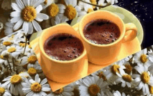 there are two cups of coffee on a saucer in front of daisies .