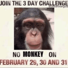 a poster with a picture of a chimpanzee on it .