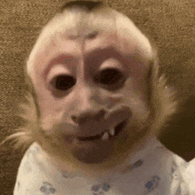 a close up of a monkey wearing a bib and smiling .