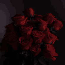 a bunch of red roses are in a dark room