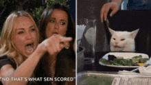 two women pointing at a white cat with the words " no that 's what sen scored " below them