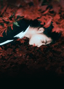 a man is laying in the leaves with his head in the leaves .