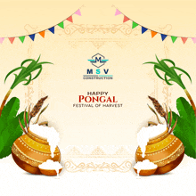 a happy pongal festival of harvest greeting card