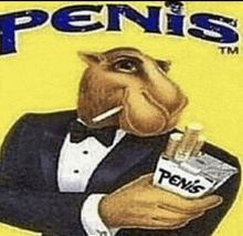 a camel in a tuxedo smoking a cigarette and holding a pack of penis cigarettes