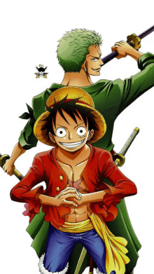 monkey d luffy and roronoa zoro pose for a picture