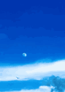 a bird flies in the blue sky with a full moon in the background