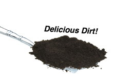 a spoon full of dirt with the words delicious dirt written above it