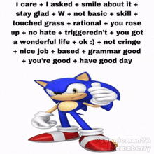 a picture of sonic the hedgehog with a caption about him