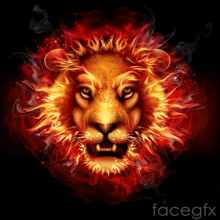 an illustration of a lion surrounded by flames with facegfx written on the bottom