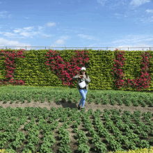 a woman taking a picture in front of a wall with red flowers