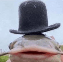 a fish wearing a top hat is looking at the camera with its mouth open .