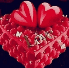 a heart shaped cake with the word love written on it .